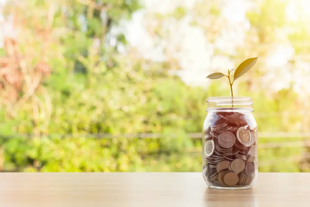 Ein Glas voller Münzen mit einer wachsenden Pflanze darauf steht auf einem Holztisch vor einer unscharfen, grünen Naturkulisse. Das Bild symbolisiert finanzielles Wachstum und nachhaltiges Spenden sammeln.