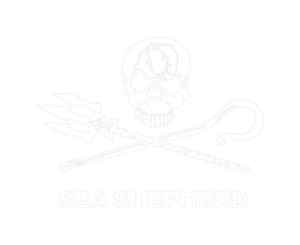 Logo Sea Shepherd