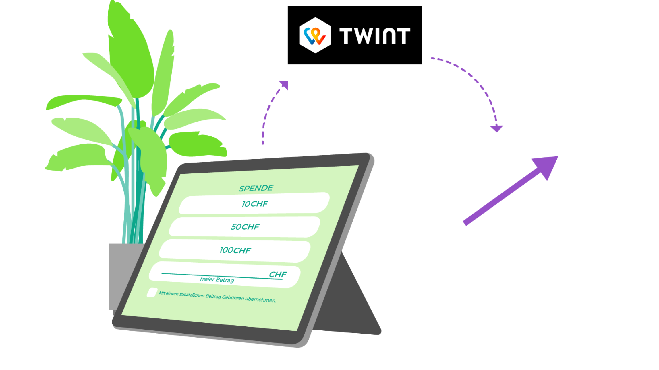 Twint- für Spenden auf der FundraisingBox zeigt nahtlose Zahlungsintegration für Online-Spendenkampagnen.