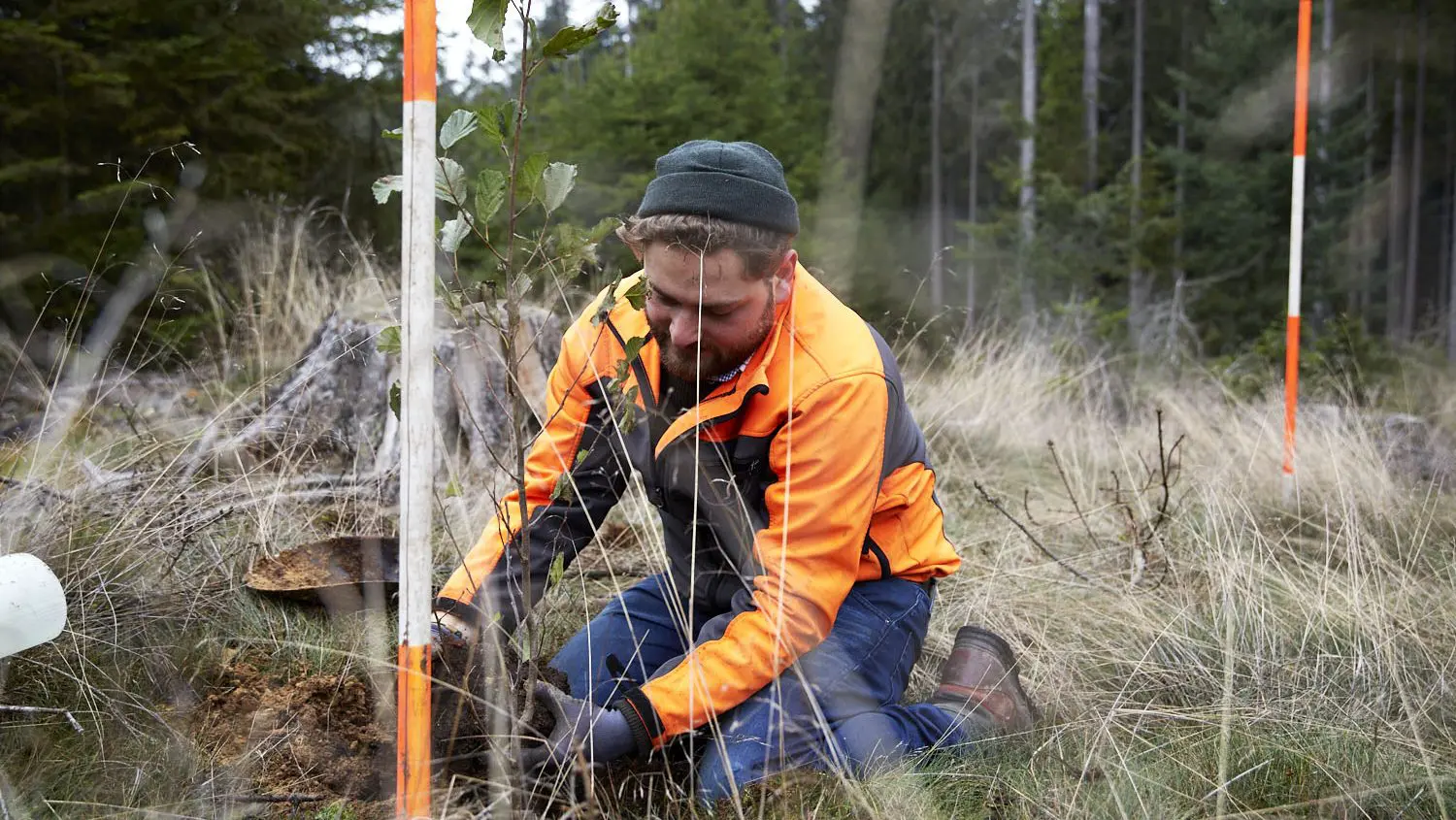 Jan Borchert, Klimaförster, copyright_DennisOellig (1)